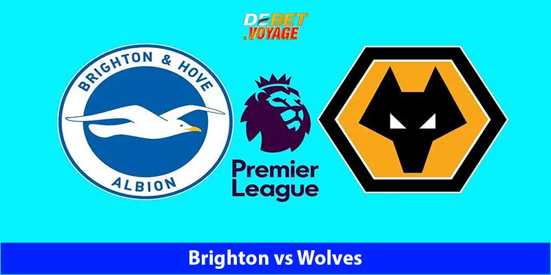 Dự Đoán Kèo Bóng Brighton vs Wolves 21h00 Ngày 26/10