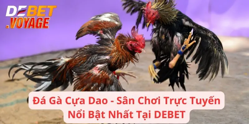 Đá Gà Cựa Dao - Sân Chơi Trực Tuyến Nổi Bật Nhất Tại DEBET