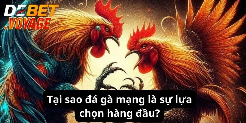 Đá Gà Mạng - Trải Nghiệm Cược Đỉnh Cao Hấp Dẫn 2024 1 Tại sao đá gà mạng là sự lựa chọn hàng đầu?