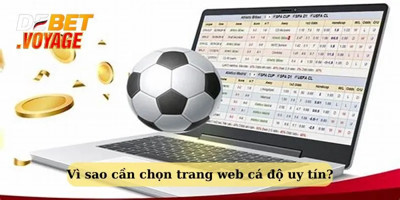 Lý do nên chọn trang web cá cược uy tín